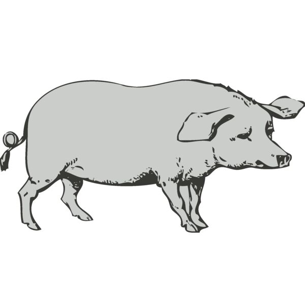 Animals   Pig Thumbnail