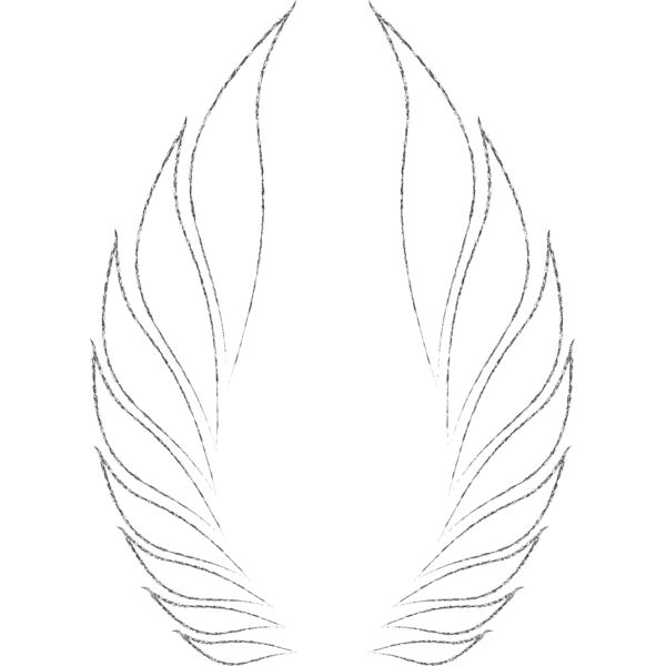 Charcoal Wing 44 Thumbnail