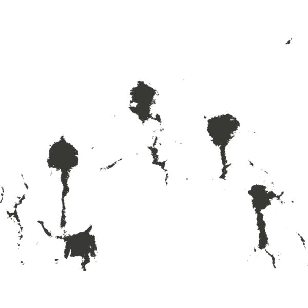 Bullet hole 142 Thumbnail