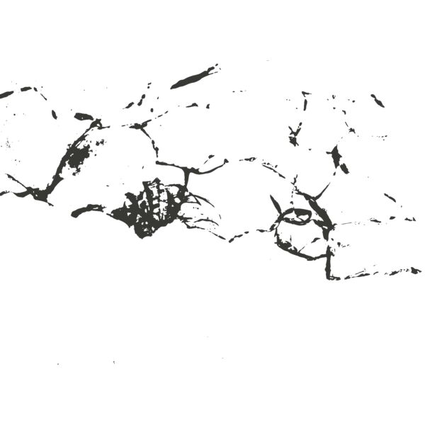 Bullet hole 101 Thumbnail