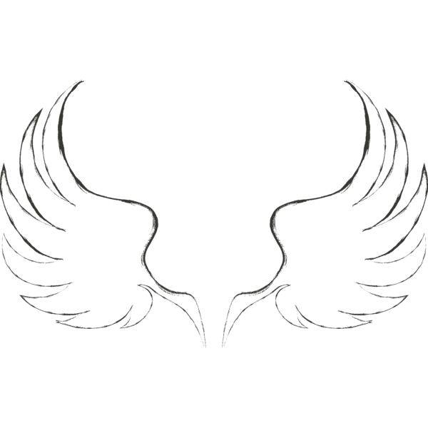 Charcoal Wing 25 Thumbnail