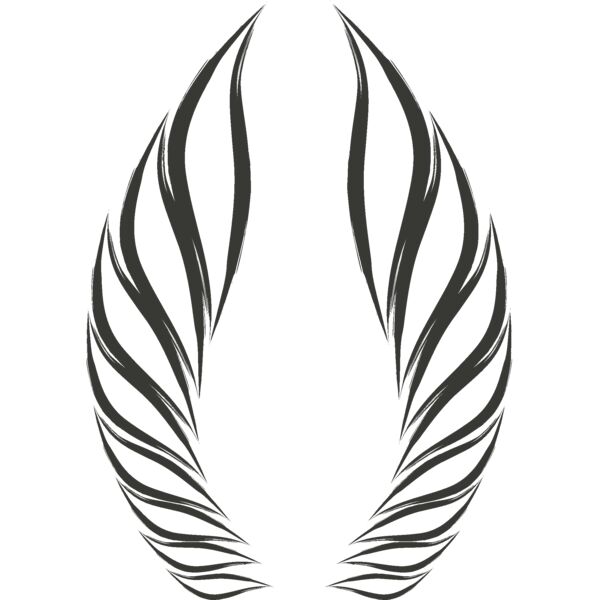 Charcoal Wing 51 Thumbnail