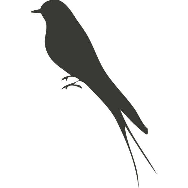 Animal Shilouette   Bird Thumbnail