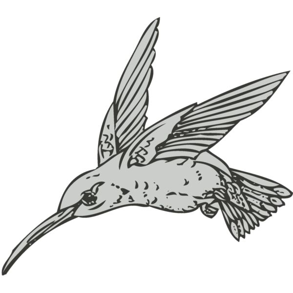 Bird   Hummingbird Thumbnail