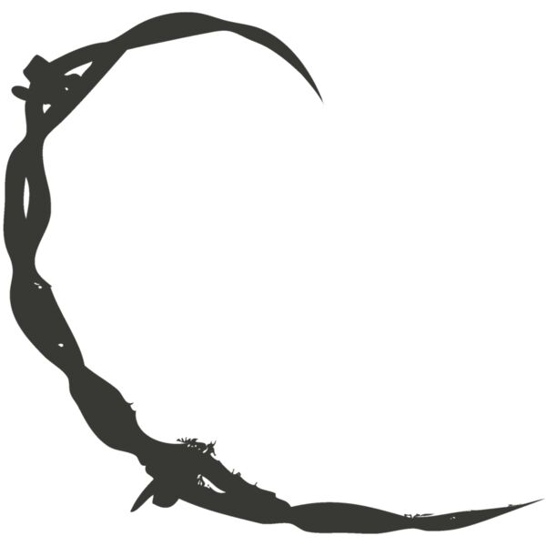 Barbed Wire 50 Thumbnail