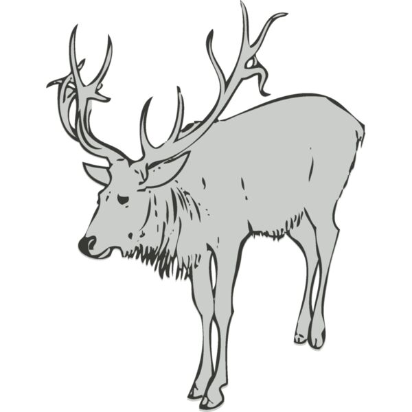 Animals   Deer 3 Thumbnail