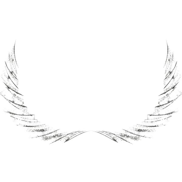 Charcoal Wing 8 Thumbnail