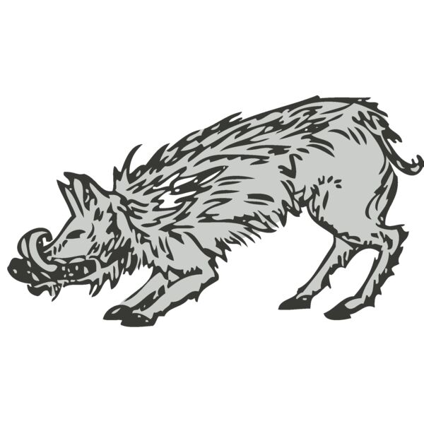 Animals   Wild Boar Pig Razorback Thumbnail
