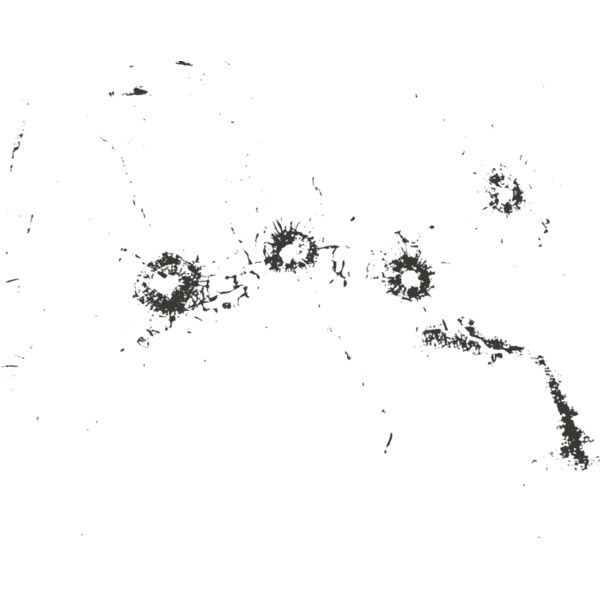 Bullet hole 114 Thumbnail