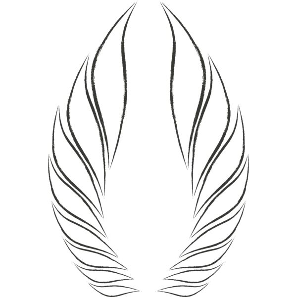 Charcoal Wing 50 Thumbnail