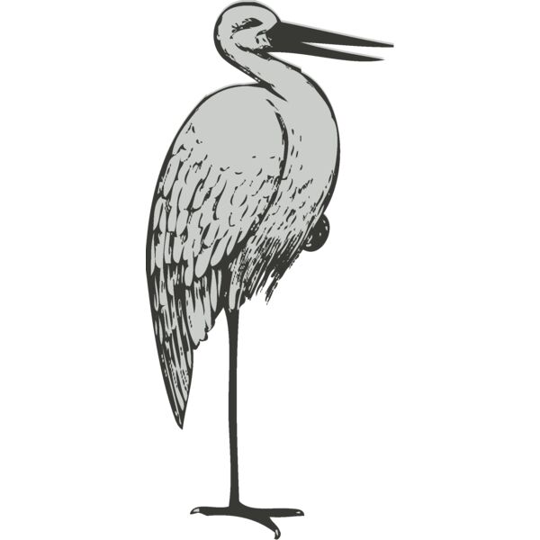 Bird   Stork 2 Thumbnail