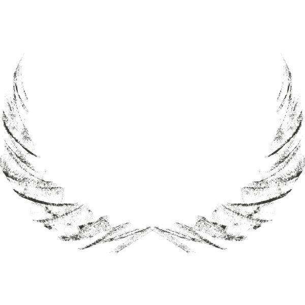 Charcoal Wing 2 Thumbnail