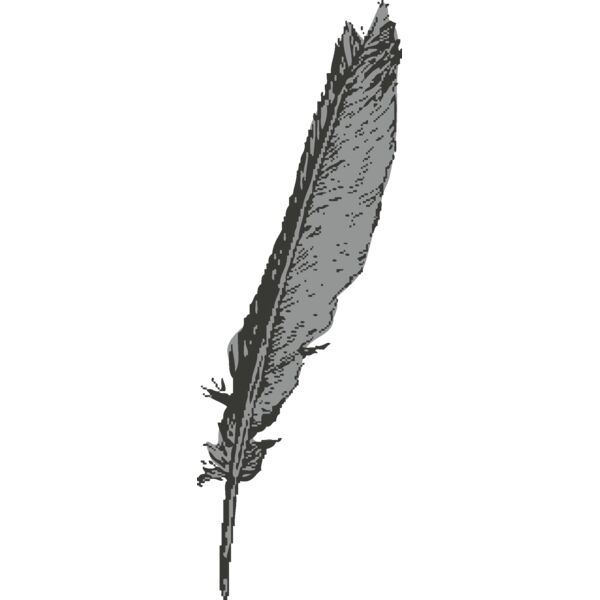 Bird   Feather Thumbnail