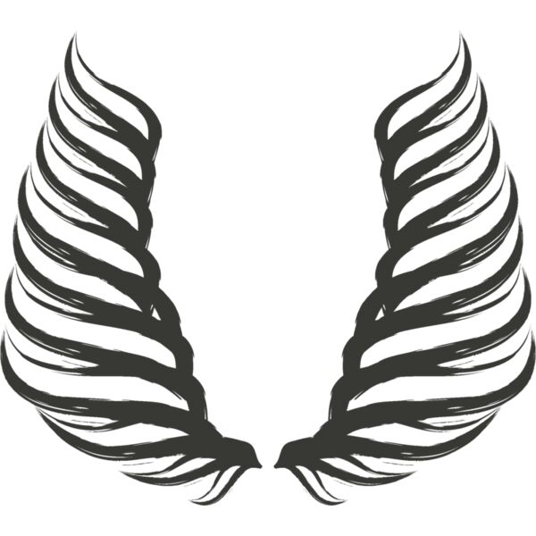 Charcoal Wing 41 Thumbnail