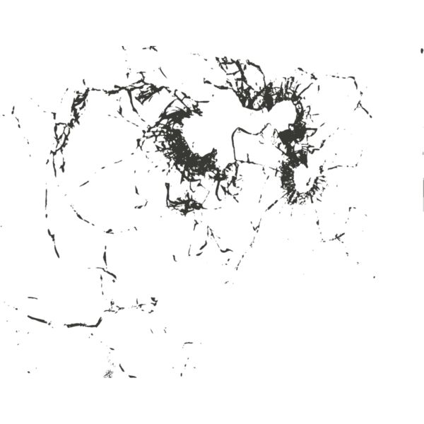 Bullet hole 82 Thumbnail