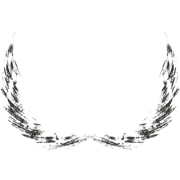 Charcoal Wing 11 Thumbnail