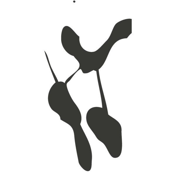 Paint Drip Stars 2 Thumbnail