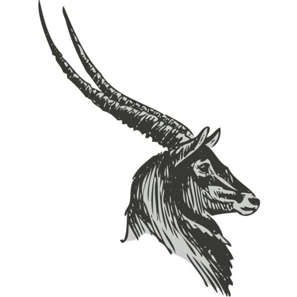 Animals   Antelope 2 Thumbnail
