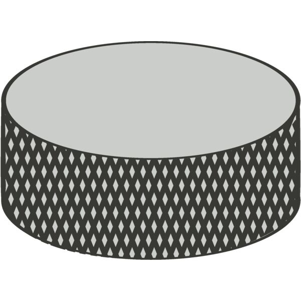 Hockey Puck 1 Thumbnail