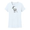 Women's Perfect Weight ® Tee Thumbnail